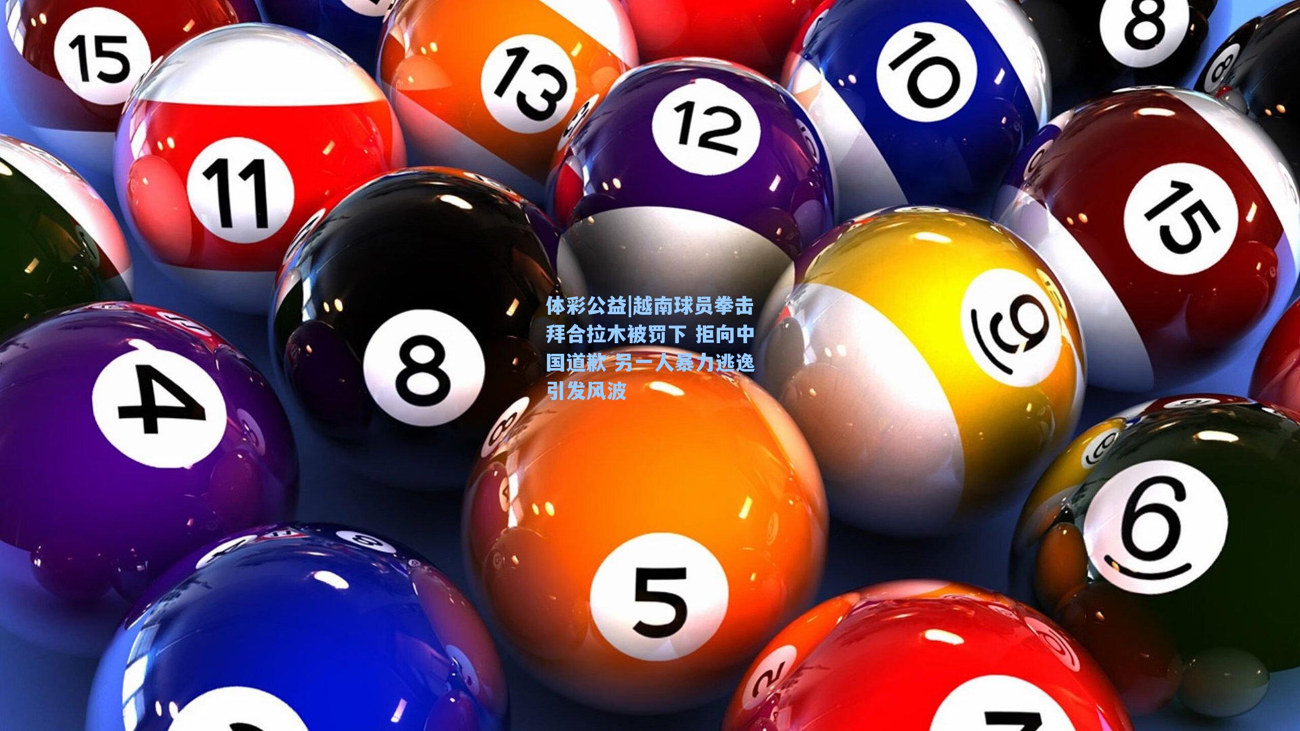 体彩公益|越南球员拳击拜合拉木被罚下 拒向中国道歉 另一人暴力逃逸引发风波